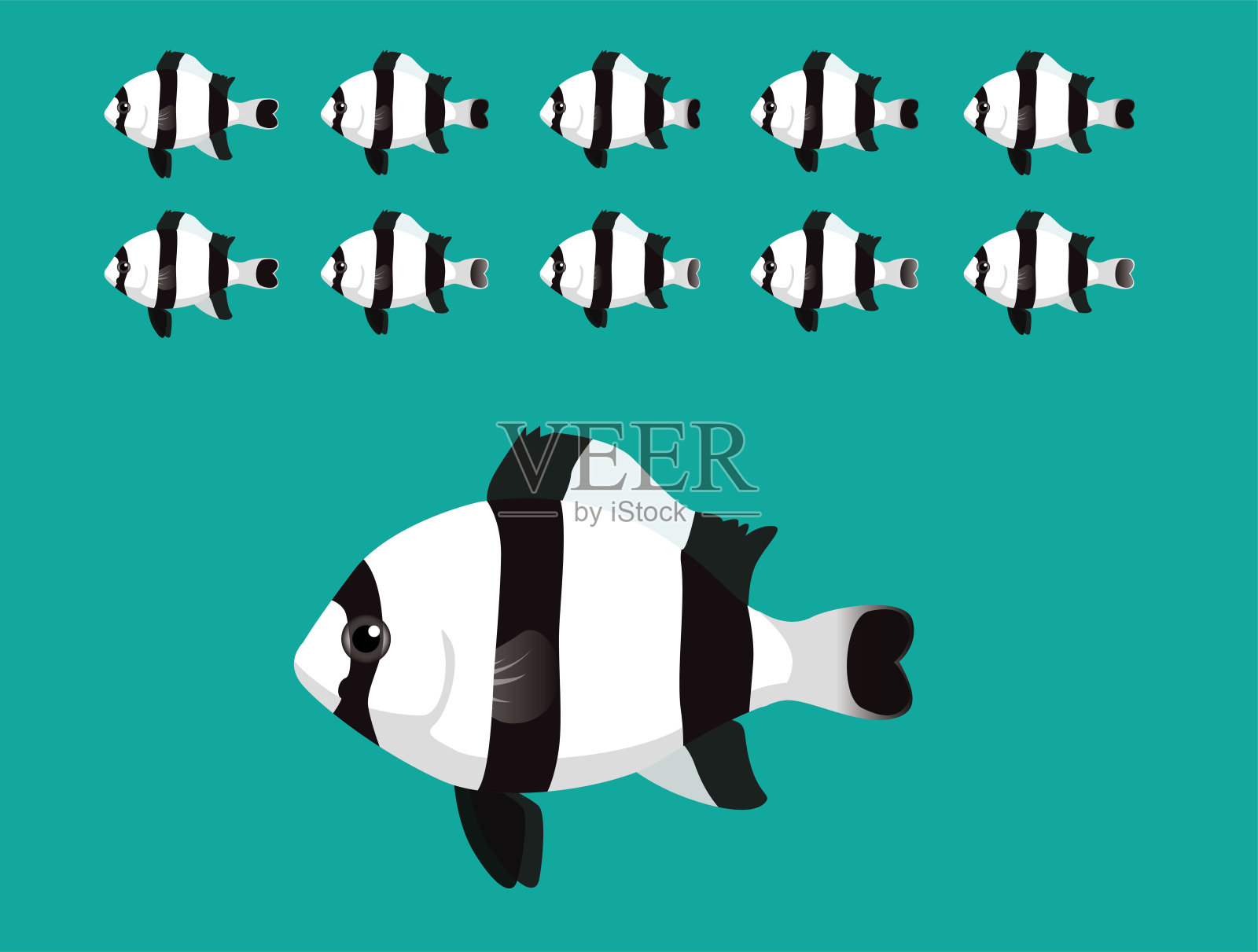 动物动画序列四条纹小热带鱼游泳卡通向量插画图片素材