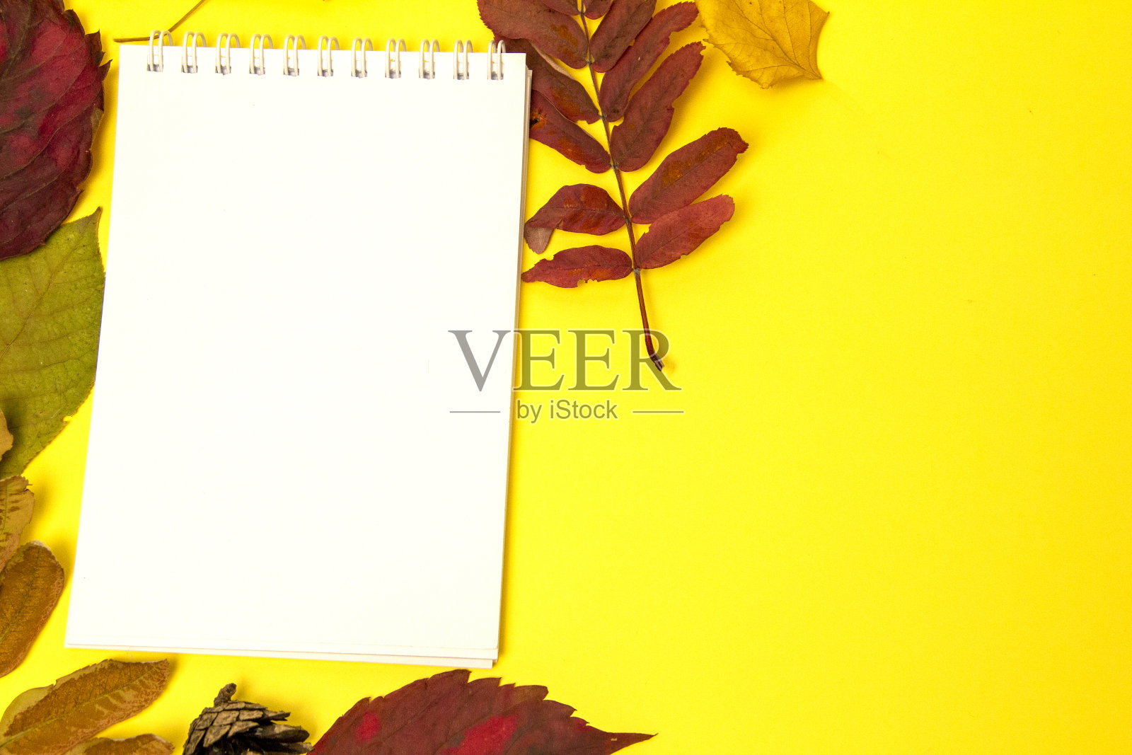 空白笔记本，山楂和秋叶。秋天的心情。照片摄影图片