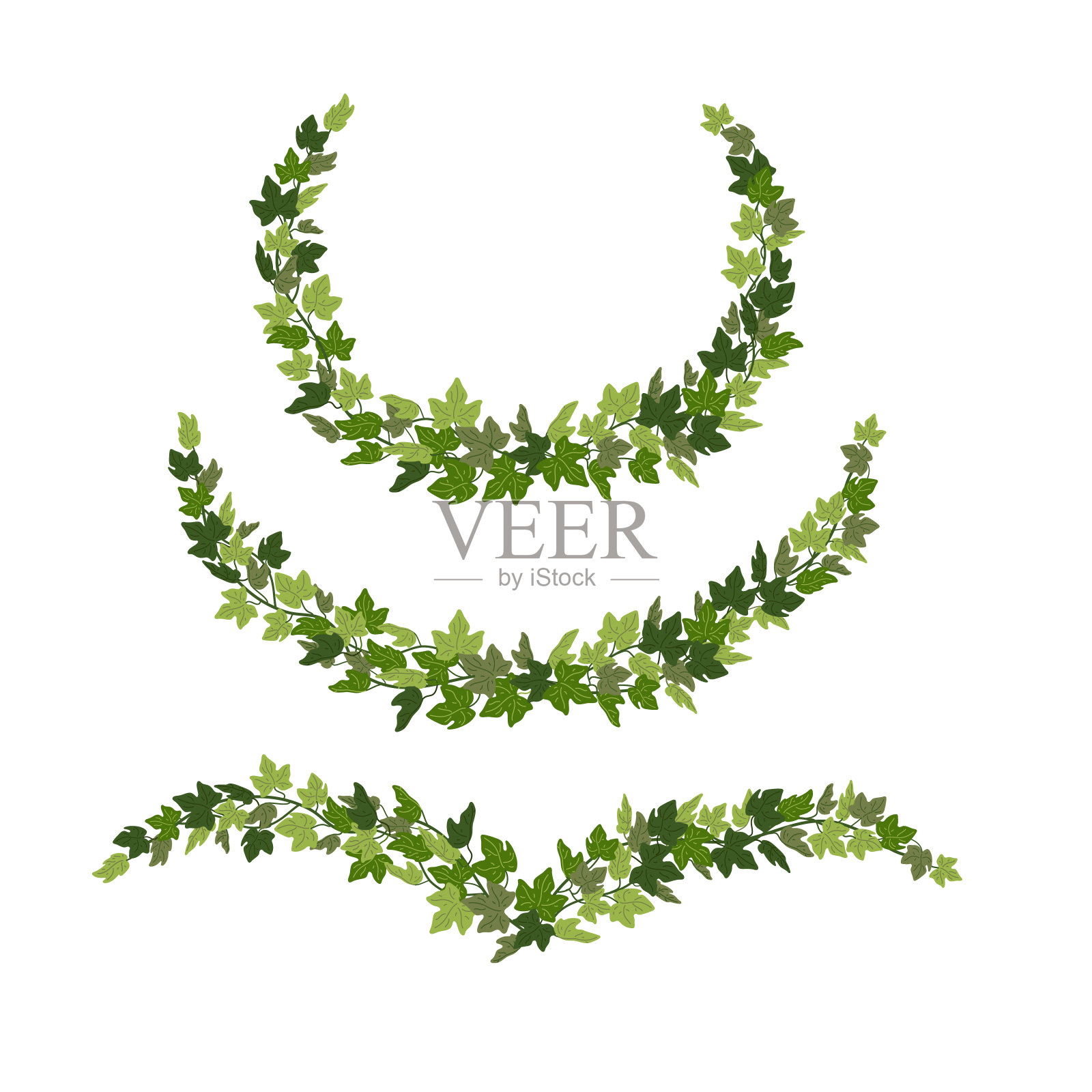 常春藤花环，绿色藤蔓装饰设计元素孤立在白色背景上。矢量插图在平面卡通风格设计元素图片