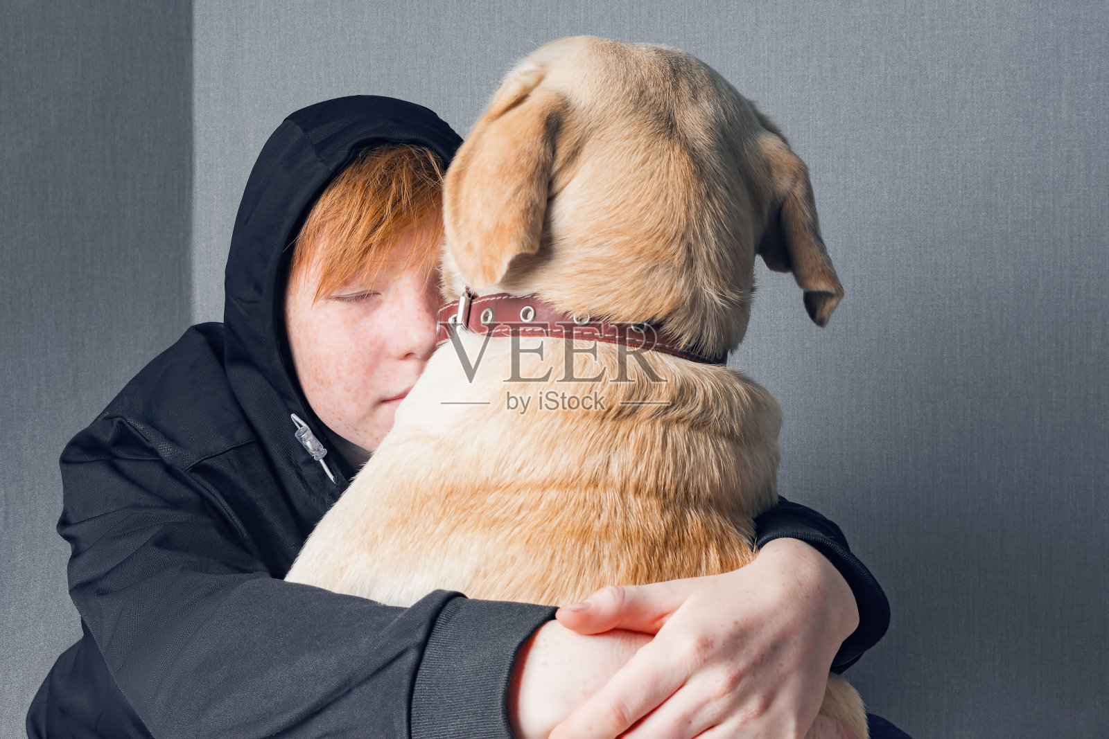 一个红发少年穿着黑色运动衫，戴着兜帽，拥抱着他的拉布拉多狗，陪伴和支持来自魅力和孤独。家庭中的社会问题。照片摄影图片