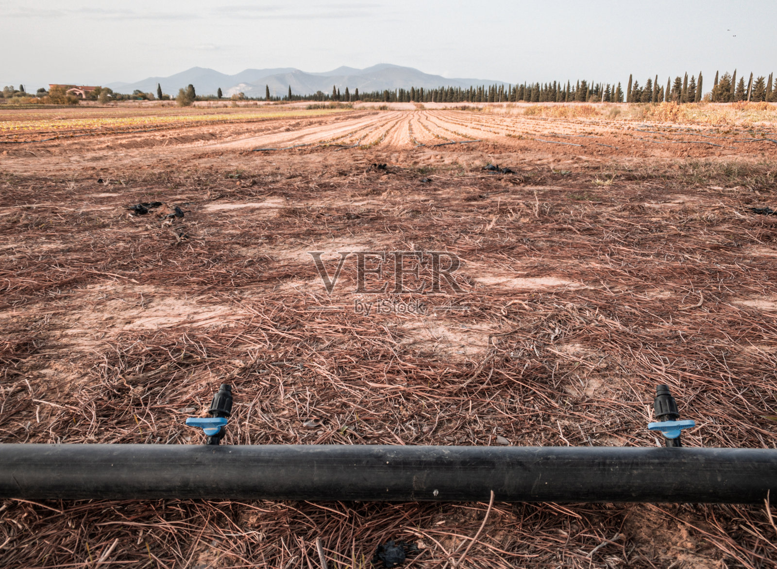 农田灌溉系统照片摄影图片
