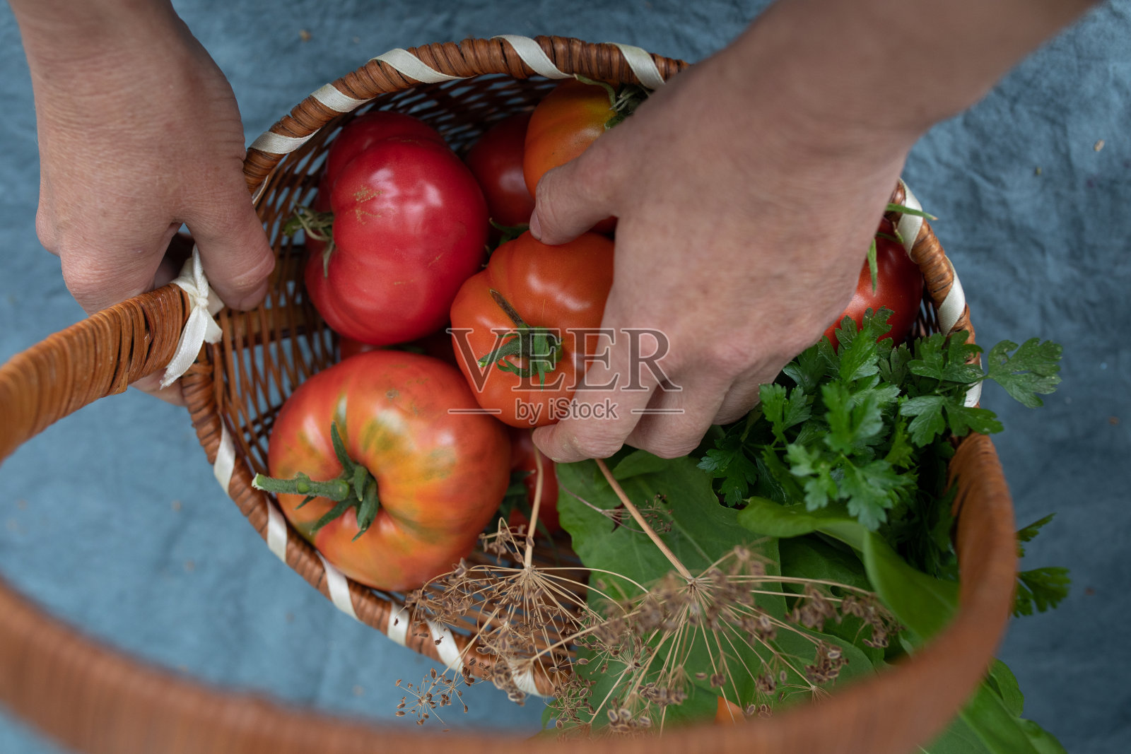女人们用手把西红柿、欧芹、莳萝和香菜放进柳条篮子里。农业的概念。照片摄影图片