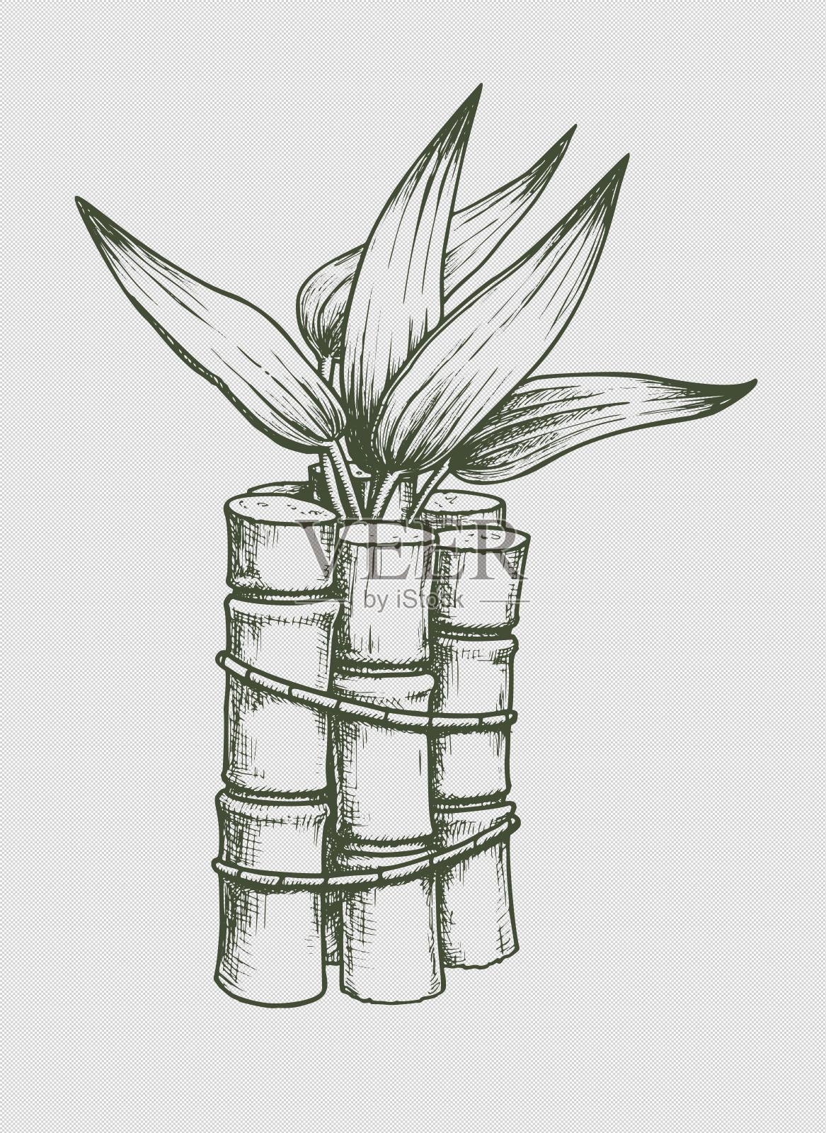 简笔画捆绑好了的竹子设计元素图片