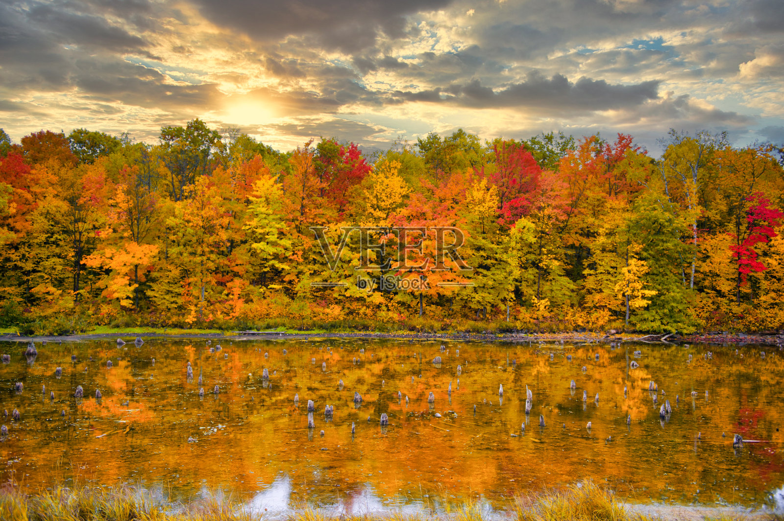 加拿大马斯科卡美丽的秋景照片摄影图片
