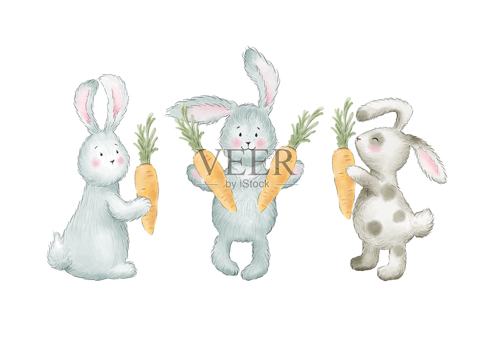 兔子胡萝卜图片素材-编号13943812-图行天下