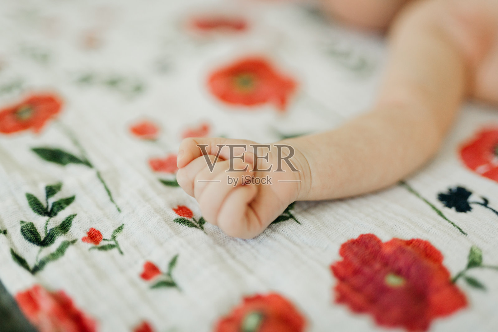 新生的手臂伸在白色的罂粟花印花毯子上照片摄影图片