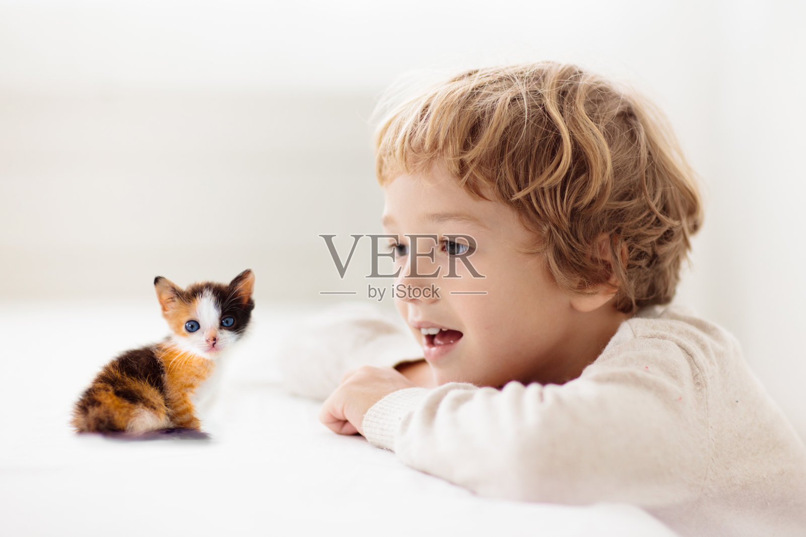 小男孩和可爱的小猫在一起玩插画图片素材_ID:416846435-Veer图库