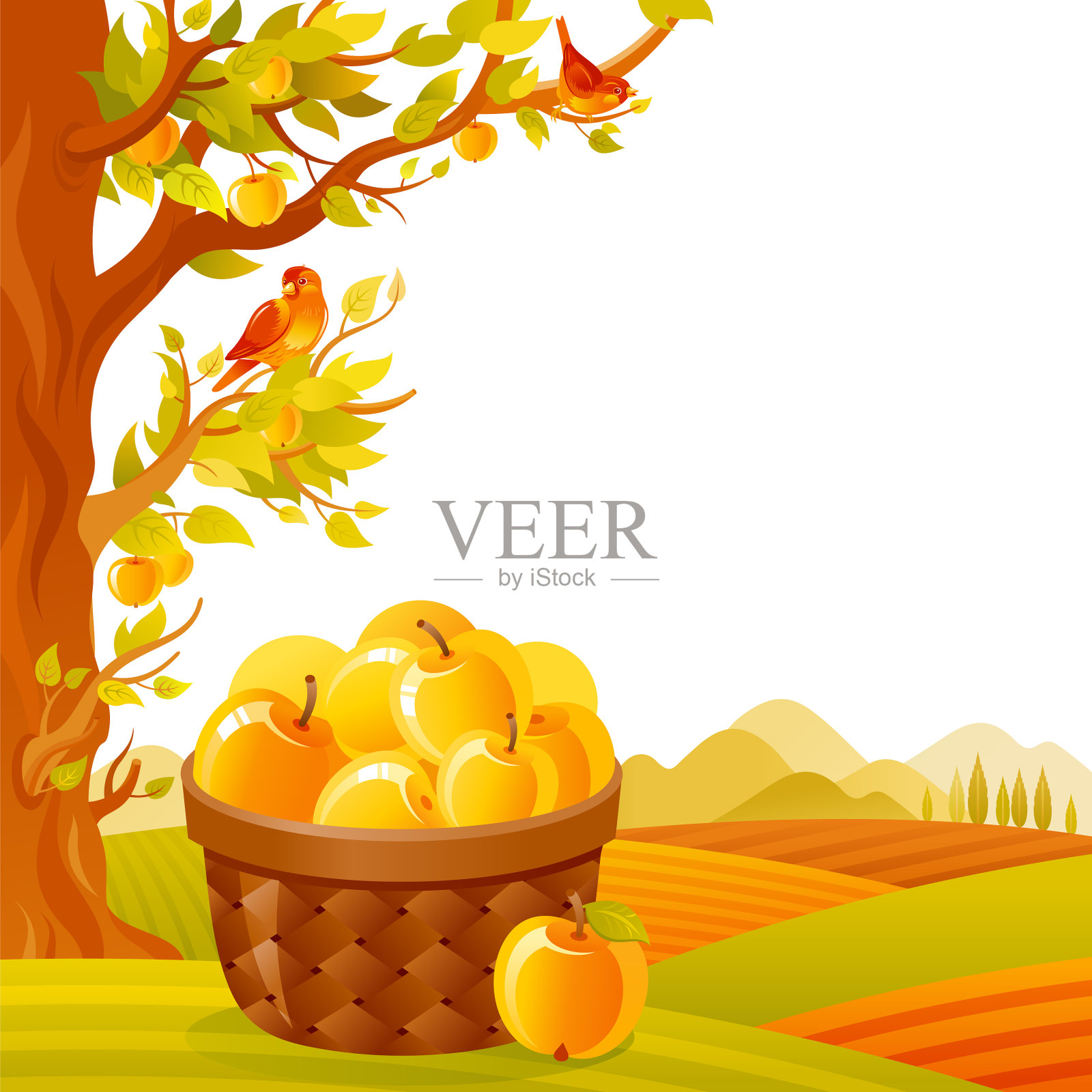 苹果篮子在果园水果农场苹果插画图片素材