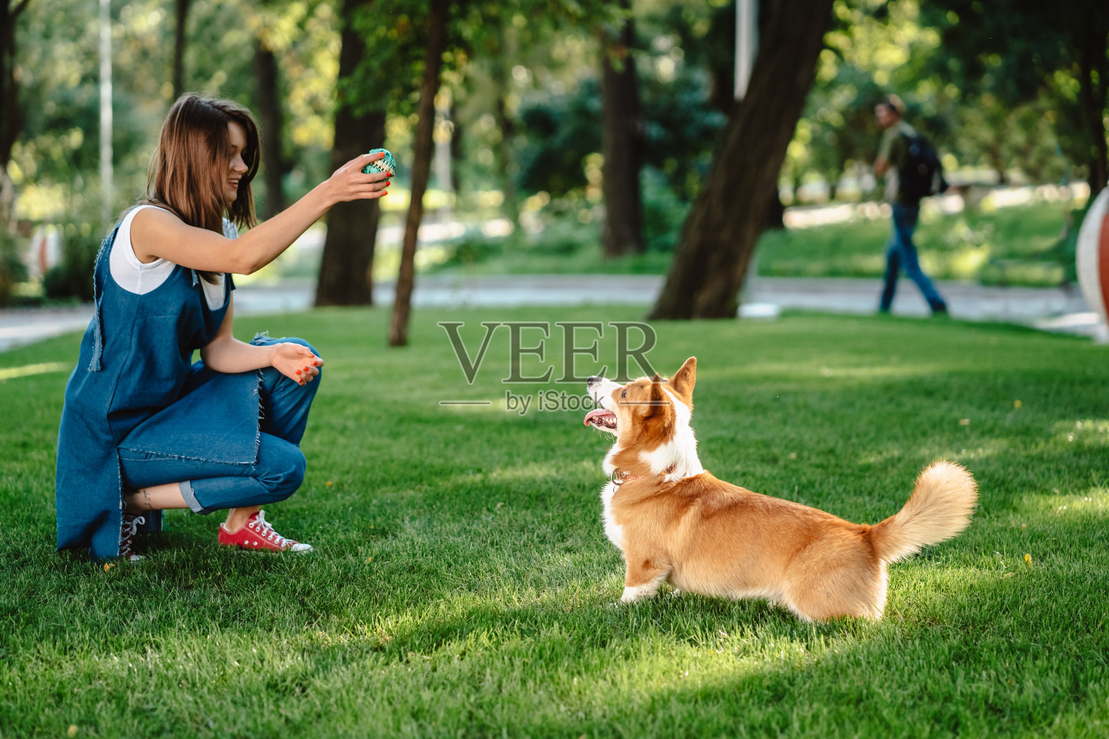 主要展现宠物的照片 少女与阿柴 和狗勾一起踏青去|摄影|宠物摄影|kadly - 原创作品 - 站酷 (ZCOOL)