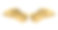 光栅版的金色翅膀素材图片