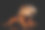 橙色绿色鬣蜥孤立在黑色背景素材图片