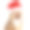 有趣的猫在圣诞老人红帽子在白色的背景素材图片