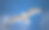 一只海鸥在蓝天中飞翔素材图片