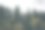 针叶林景观山的背景旅游照片摄影图片