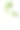 新鲜香草:白色背景下孤立的芹菜素材图片