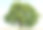 一棵高大的老梨树孤零零地伫立在收割过的干草地上。素材图片