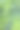 绿叶背景(virginia Creeper植物)素材图片