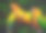 太阳锥尾鹦哥鹦鹉素材图片