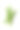 蔬菜:绿色辣椒孤立在白色背景素材图片