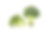 白色背景上的两个花椰菜头。素材图片