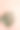 粉红色背景上的单瓣棕榈叶素材图片