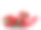 红辣椒孤立在白色背景上素材图片