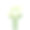 花束为绿色马蹄莲，颜色柔和，白色背景。素材图片