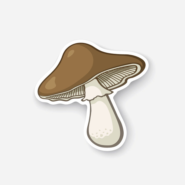 棕色蘑菇简笔画图片