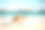 澳大利亚海滩袋鼠埃斯佩兰斯素材图片