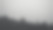 雾中的黑白色森林。素材图片