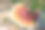 灵芝药菇的细节镜头素材图片