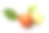 红枣，白底绿叶素材图片