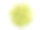 在白色背景上分离的南瓜子素材图片