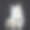 蓝色眼睛的布娃娃猫/小猫侧坐着，孤立地坐在黑色背景上，向上看，尾巴从边缘垂下来素材图片