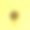 榴莲全球概念概念在黄色粉彩背景。最小的思想概念。素材图片