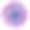 菊花紫蓝色。花在孤立的白色背景与裁剪路径没有阴影。特写镜头。为设计。大自然。素材图片