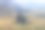 山景带雾素材图片