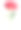 单株红色蔷薇，茎长，绿叶独立，白色背景。素材图片
