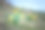比利牛斯山的野生水仙花素材图片