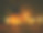 万圣节南瓜灯在乡村木制背景素材图片