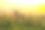水彩画的鹿角站在风景自然在雾蒙蒙的早晨或傍晚光素材图片
