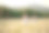 一个4-6岁的男孩和一个穿着白色衣服的女孩在盛开的洋甘菊草地上奔跑素材图片
