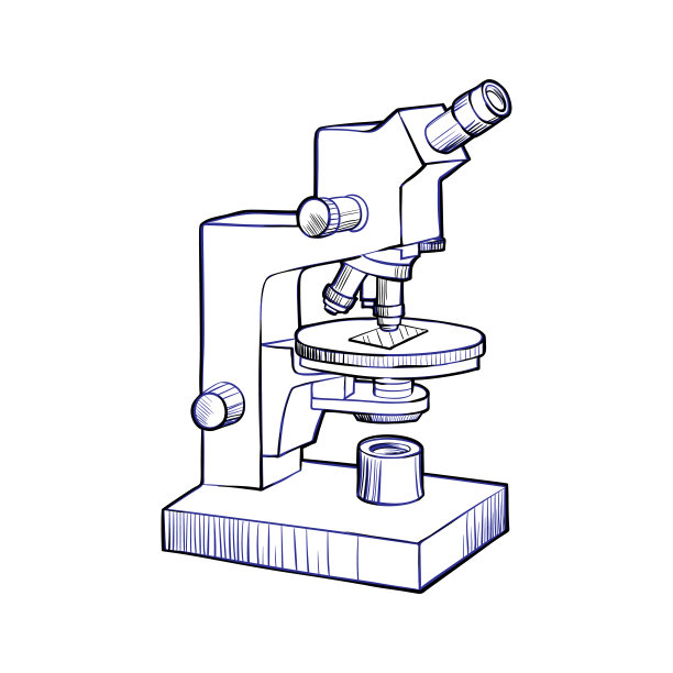 素描显微镜图片