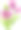 白色背景上的紫罗兰郁金香花束。素材图片
