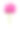 粉红色的荷花，盛开的荷花孤立在白色的背景上素材图片