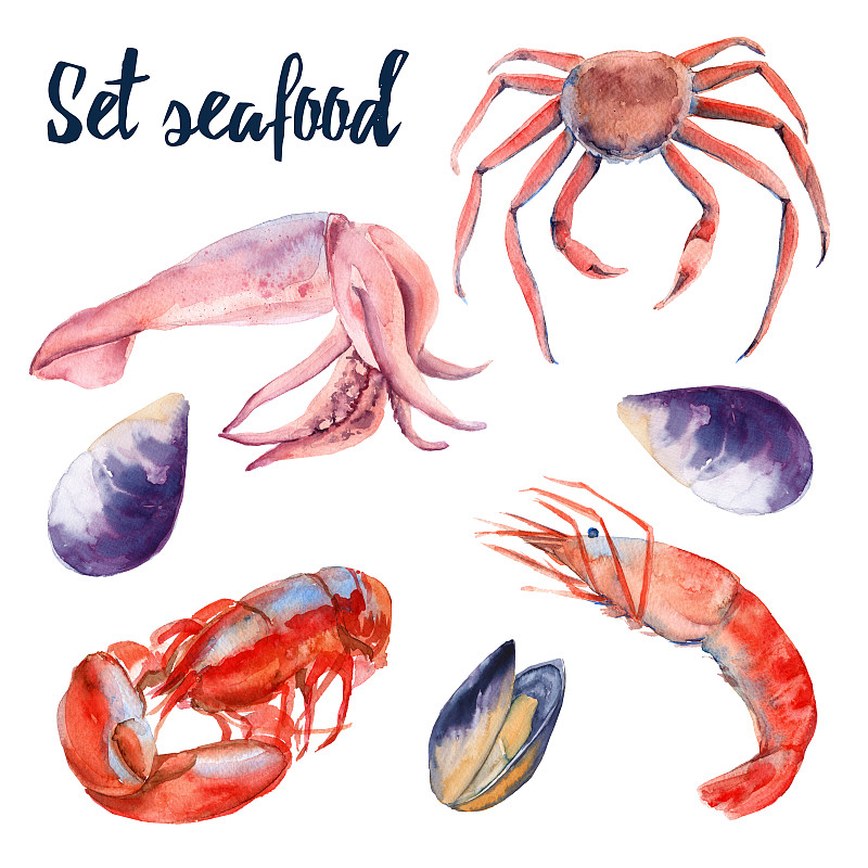 的海鲜。蟹、虾、龙虾、贻贝和鱿鱼。孤立在白色背景上。水彩插图。图片下载