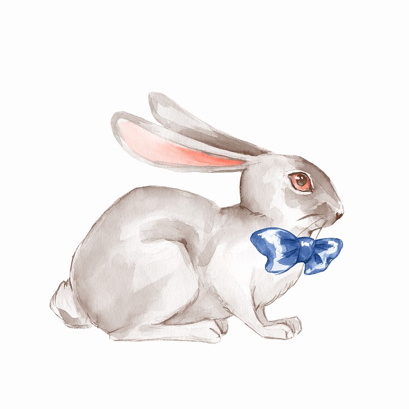 小白兔，水彩画2图片下载