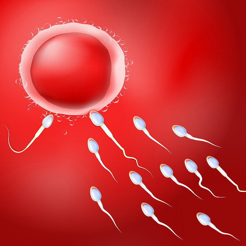 精子向人类卵子进发红色的背景图片